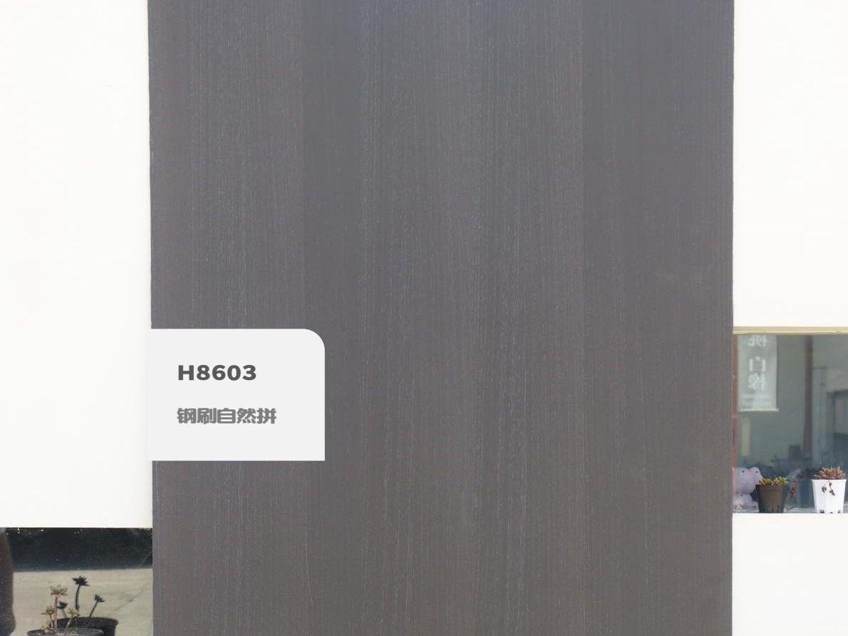 H8603鋼刷自然拼