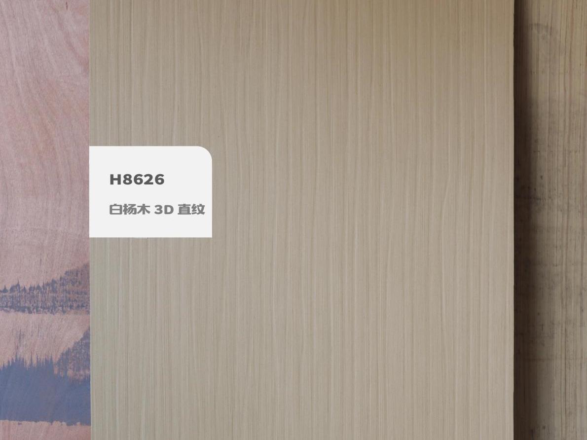 H8630銀絲 3D 直紋