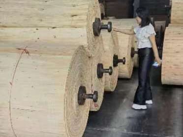 杉木原材料和成品