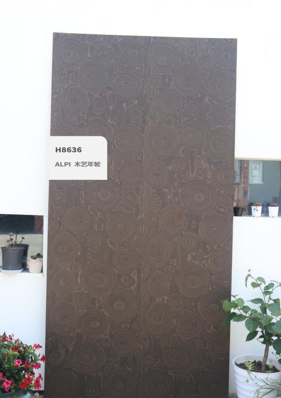 香港福江南板材,福江南木業(yè),香杉木生態(tài)板銷(xiāo)售,桐木生態(tài)板銷(xiāo)售,